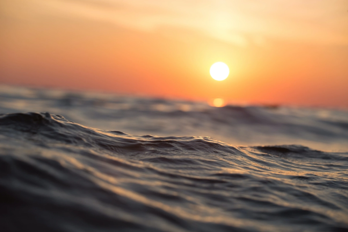 Ocean wave at sunset
